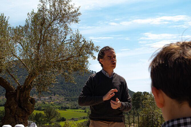 Tour to olive grove and olive mill, oil tasting and snack - The Majorcan snack that’s basically a meal (with wine)