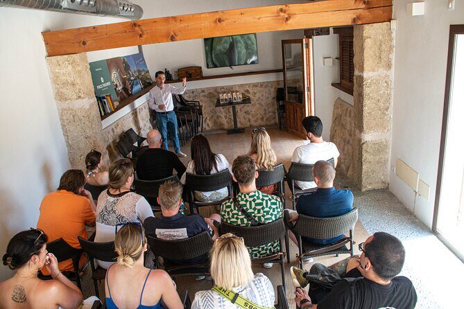 Tour to olive grove and olive mill, oil tasting and snack - Price and value: what $59.64 actually buys you
