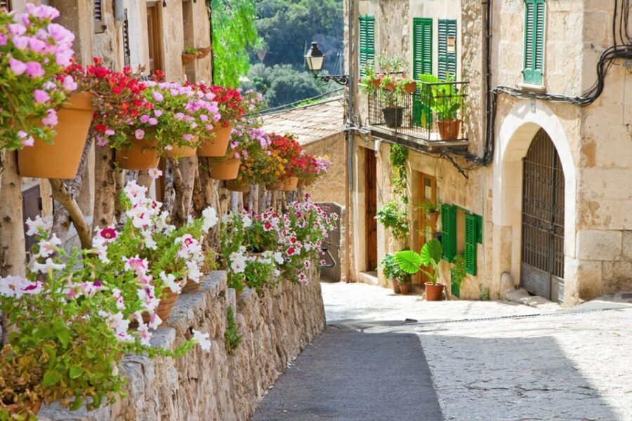 Valldemossa: Discover Valldemossa with a transfer from Palma - Key things to know before you go