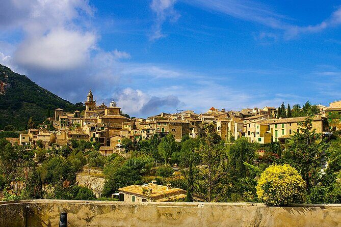 Visit Palma and Valldemossa - Bus Timing Quirks: Castle View Stops and Coach Switching